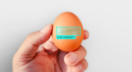 A hand holds an egg with labelling - this is read off.